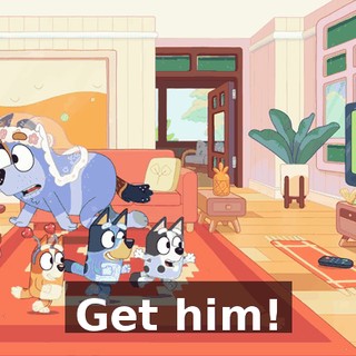 Get him!
