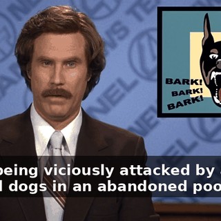 b792d5fa-df9c-42f2-86ae-0b0ce2cbe552.gif