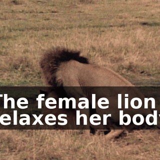 b7955429-2a82-4fb0-bd35-99e8c85de5e3.gif