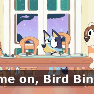 Come on, Bird Bingo!