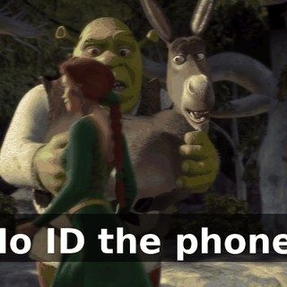 Ho ID the phone.