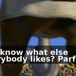 b80143cd-84e0-44eb-924b-7fc264e68b56.gif