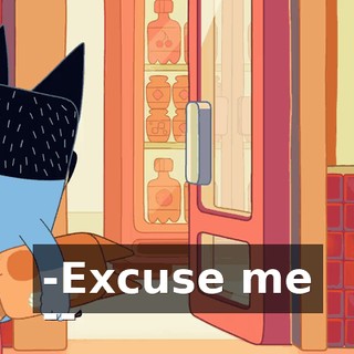 -Excuse me --