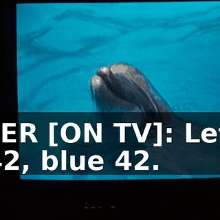 b80602cc-7f09-45ac-bca5-99c66a691c50.gif