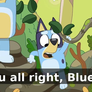 b834a2e7-0592-4312-b569-502f96484e8f.gif