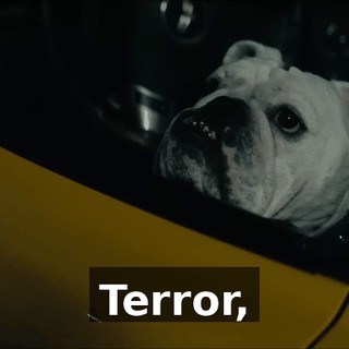 b8368083-a731-4366-9e08-df528dc0c5f3.gif