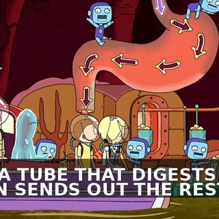 b86986be-57e0-4f11-96f4-f4a9bb249ae9.gif