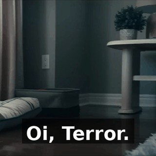 b875d816-cfdb-4dda-b2e4-c670e55ae98e.gif