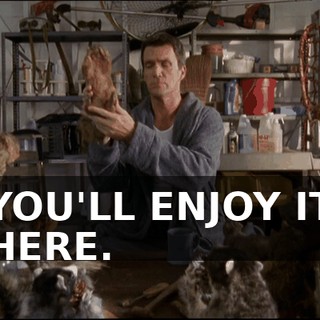 b89a2003-e385-4c8a-9bf1-7cbeea2f9488.gif
