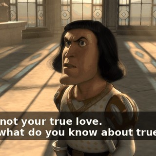 - He's not your true love. - And what do you know about true love?