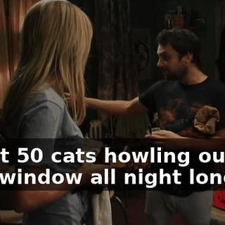 about 50 cats howling outside that window all night long