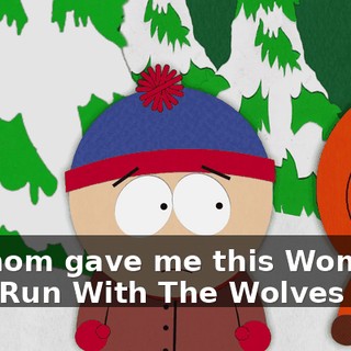 My mom gave me this Women Who Run With The Wolves book