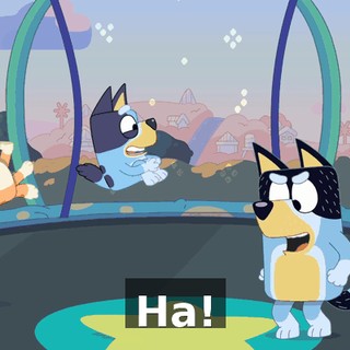 b9176dbf-c177-4b4f-acf9-2b758e3e0a93.gif