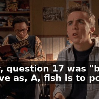 Okay, question 17 was "bee is to hive as, A, fish is to pond,