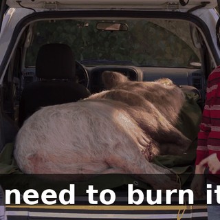 I need to burn it.
