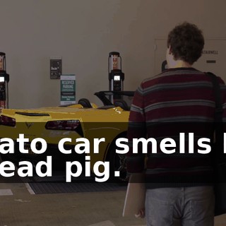 Aviato car smells like a dead pig.