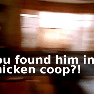 You found him in a chicken coop?!