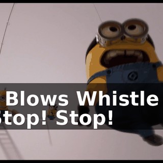 [ Blows Whistle ] Stop! Stop!