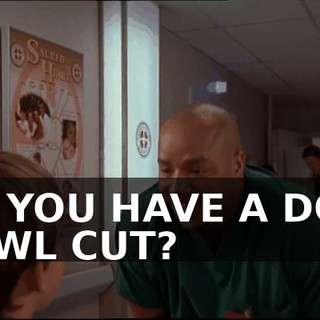 ba584087-fb73-41f5-942b-5a02862cf00a.gif