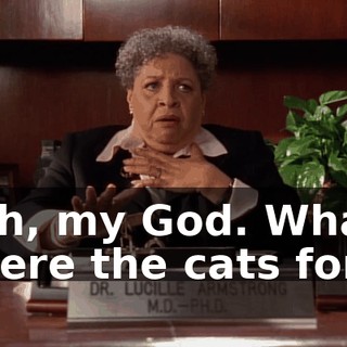 Oh, my God. What were the cats for?