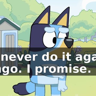 I'll never do it again, Bingo. I promise.