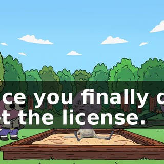 once you finally did get the license.