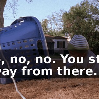 No, no, no. You stay away from there.