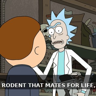 bc383d6a-071a-4193-8ce0-125320393c61.gif