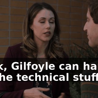 Look, Gilfoyle can handle all the technical stuff.