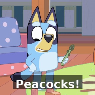 bc43f4f7-90a4-4a20-9888-fa4b085cf846.gif
