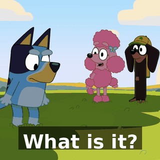 What is it?