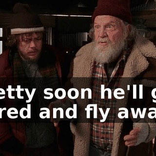 Pretty soon he'll get bored and fly away.