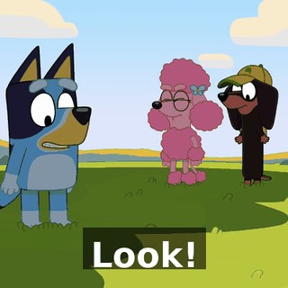 Look!