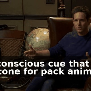 bd0184c2-0bcf-46d2-9e88-c450676dcadb.gif