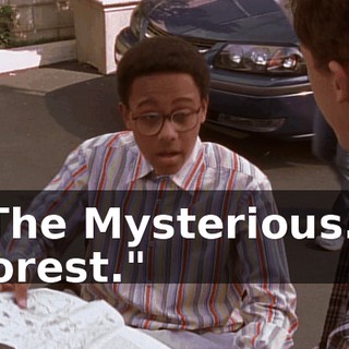 "The Mysterious... Forest."