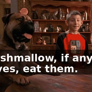 Marshmallow, if anyone moves, eat them.