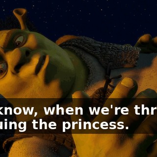 You know, when we're through rescuing the princess.