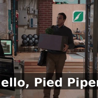 Hello, Pied Piper!