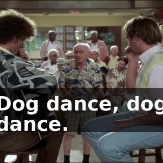 Dog dance, dog dance.