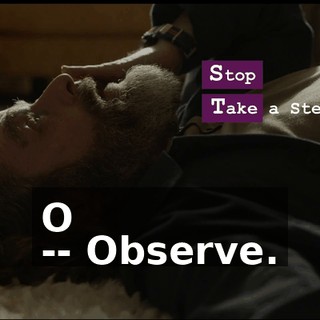 O -- Observe.
