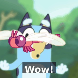be553976-75a1-4a8f-919b-fad4c6721e6f.gif