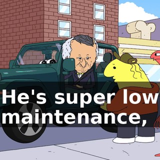 He's super low maintenance,