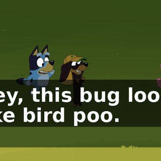Hey, this bug looks like bird poo.