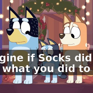 Imagine if Socks did to you what you did to her.
