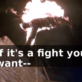 If it's a fight you want--