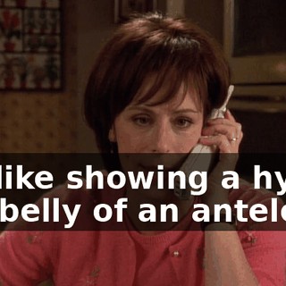 it's like showing a hyena the belly of an antelope.