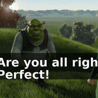- Are you all right? - Perfect!