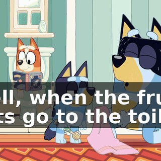 Well, when the fruit bats go to the toilet,