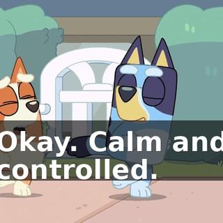 bf058044-3386-4fb3-b31b-f699da5b28c4.gif