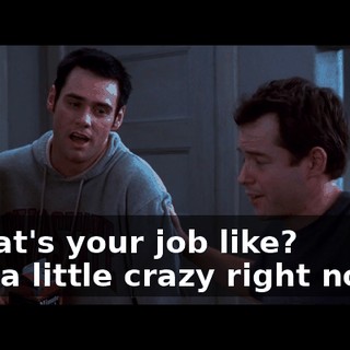 - What's your job like? - lt's a little crazy right now ...